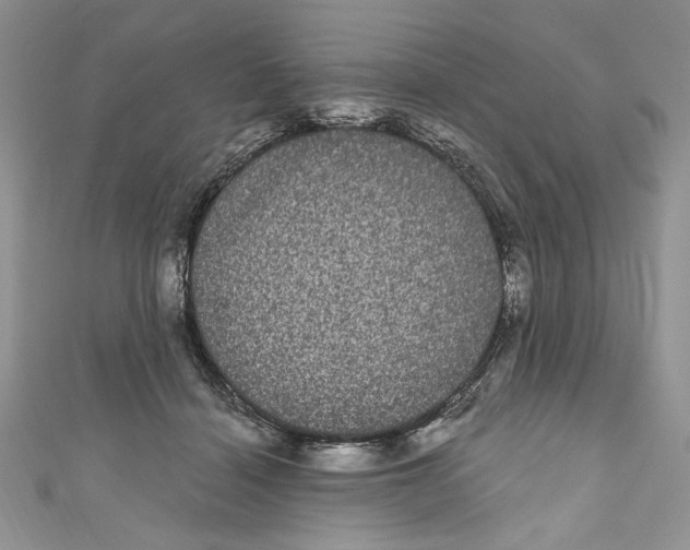 X0000111050460200907161409