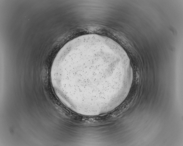 X0000111050461200907161409