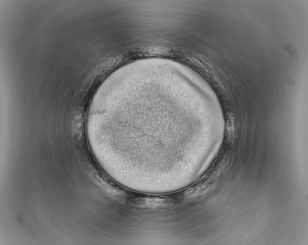 X0000111050462200907161409