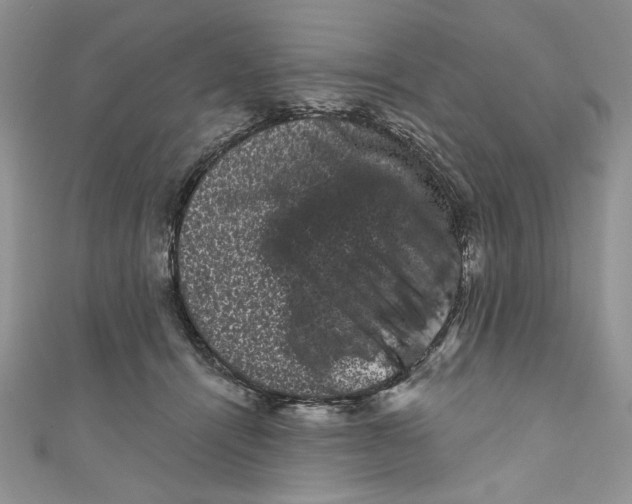 X0000111050464200907161409