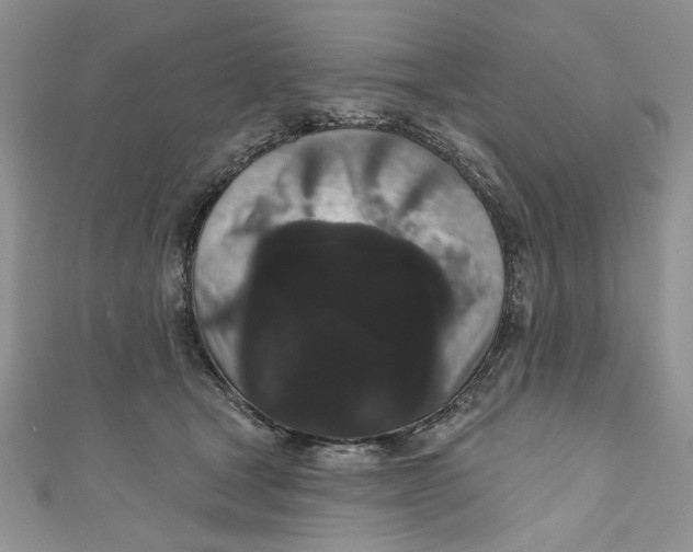 X0000111050465200907161409