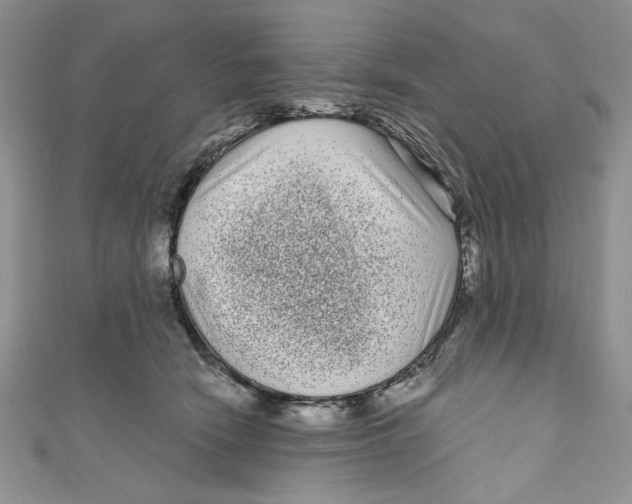 X0000111050466200907161409