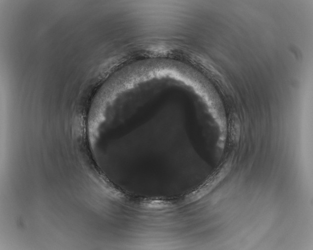 X0000111050467200907161409