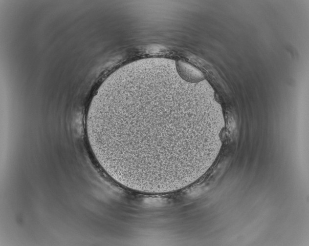 X0000111050470200907161409