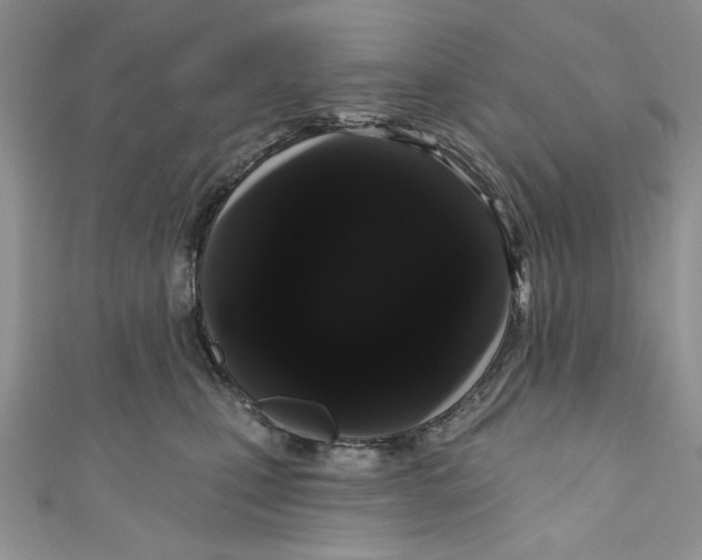 X0000111050471200907161409