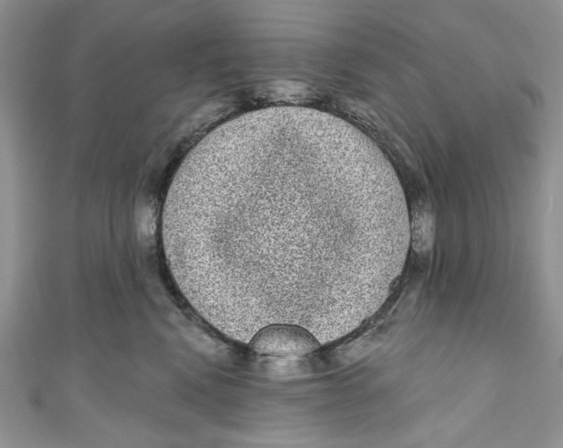 X0000111050472200907161409