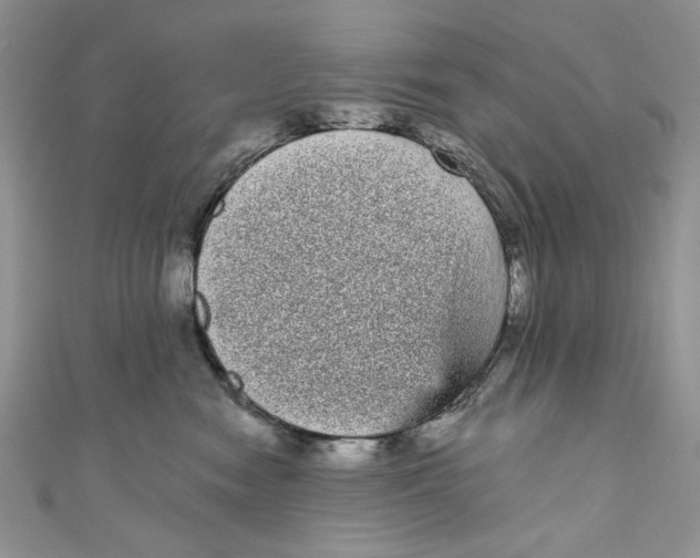 X0000111050474200907161409