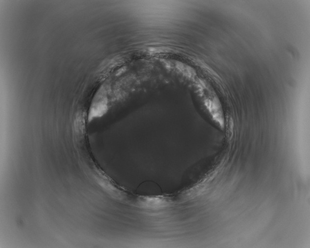 X0000111050475200907161409