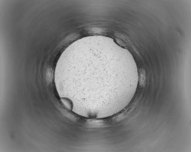 X0000111050476200907161409