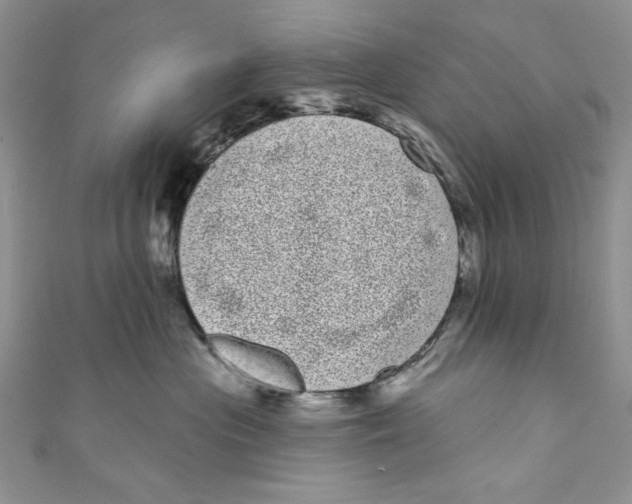 X0000111050477200907161409