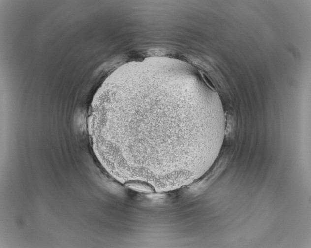 X0000111050478200907161409