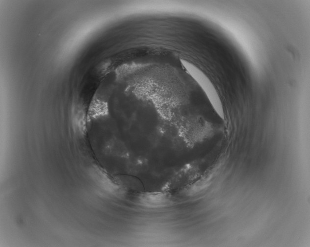 X0000111050479200907161409