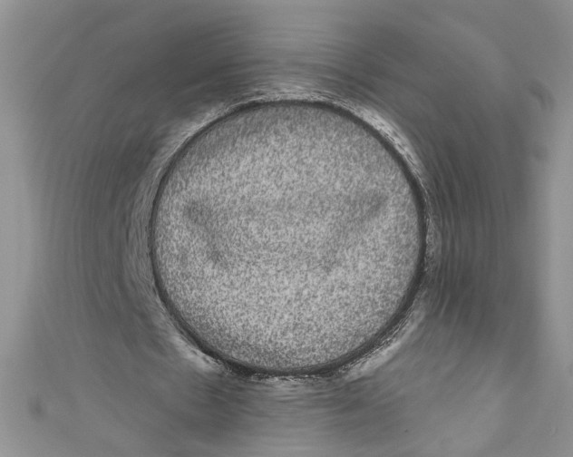 X0000111050481200907161408