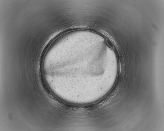 X0000111050483200907161408