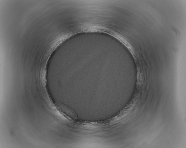 X0000111050485200907161408