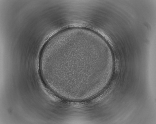 X0000111050486200907161408