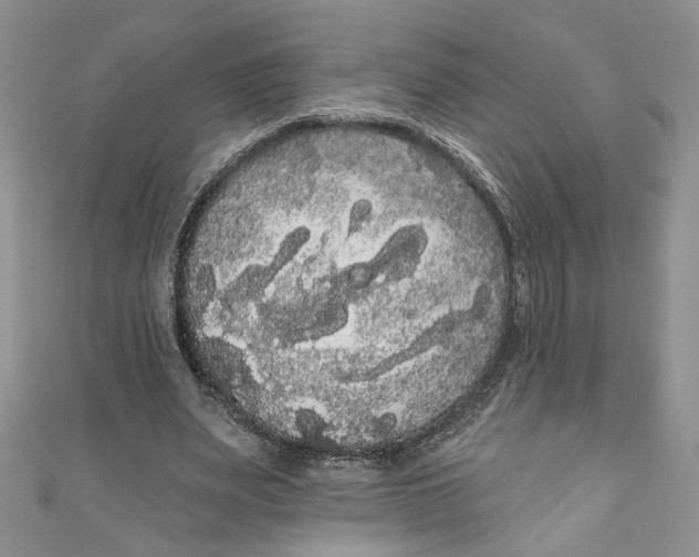 X0000111050487200907161408