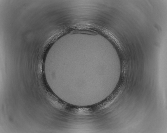 X0000111050501200907161408