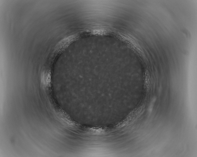 X0000111050502200907161408