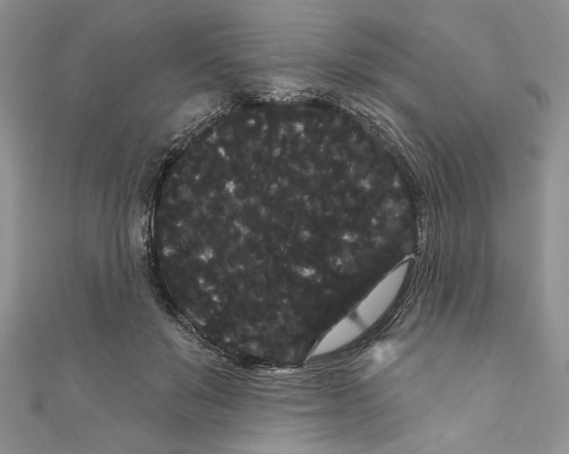 X0000111050503200907161408