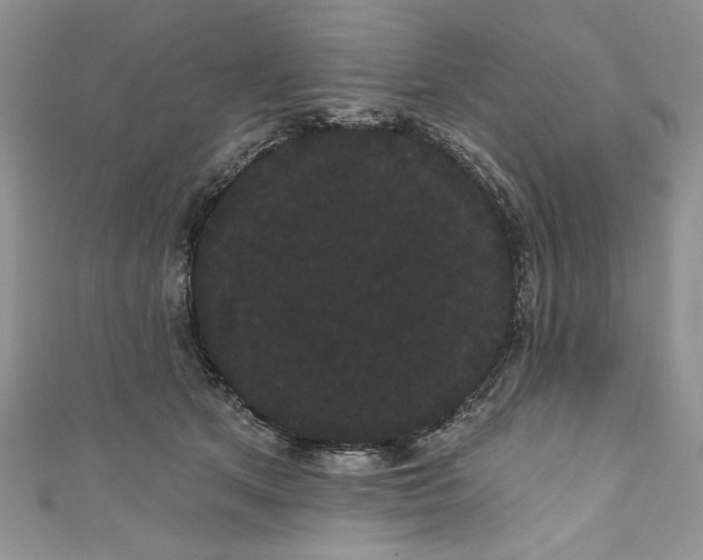 X0000111050513200907161408