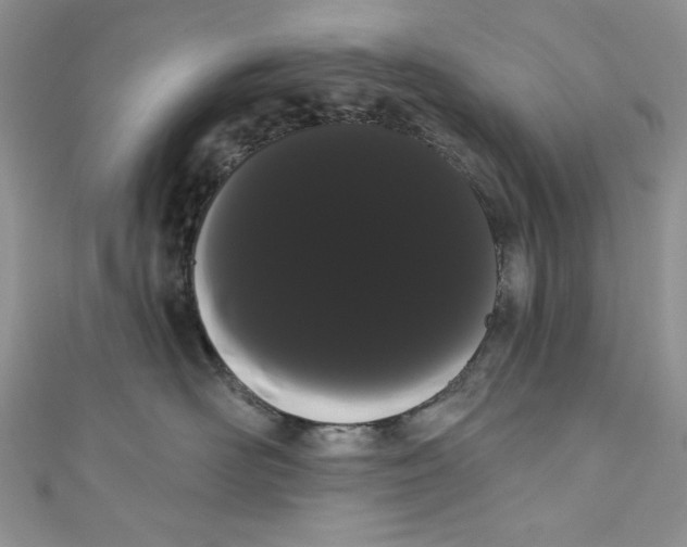 X0000111050526200907161408