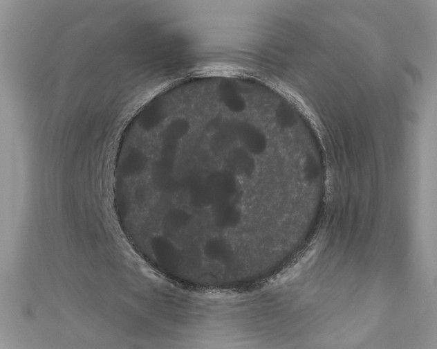 X0000111050529200907161407