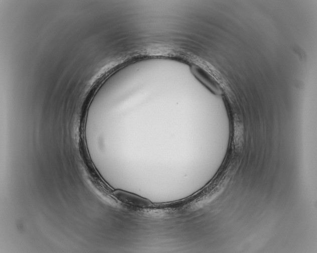 X0000111050530200907161407