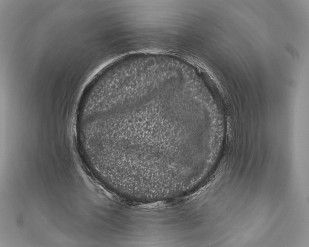 X0000111050532200907161407