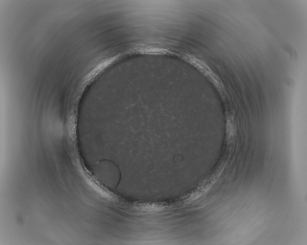 X0000111050533200907161407