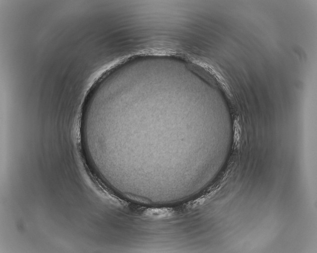 X0000111050536200907161407