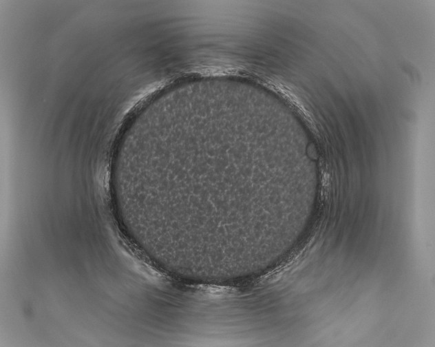 X0000111050539200907161407