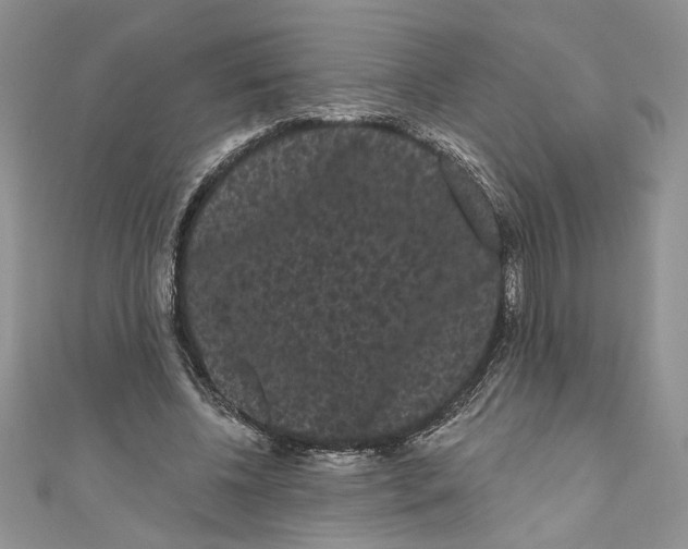 X0000111050540200907161407