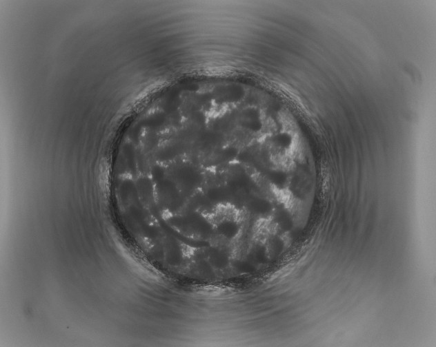 X0000111050542200907161407