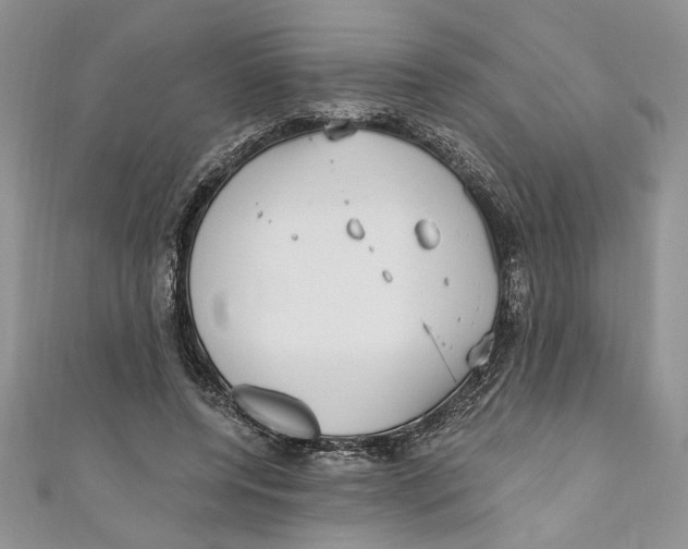 X0000111050544200907161407