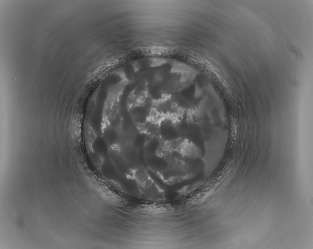 X0000111050545200907161407