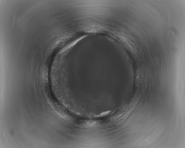 X0000111050547200907161407