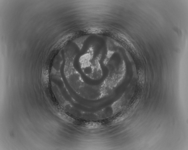 X0000111050549200907161407