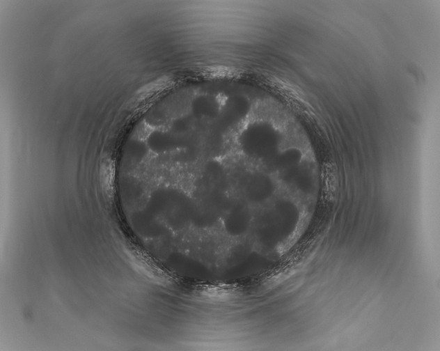 X0000111050550200907161407