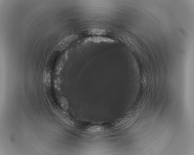 X0000111050551200907161407