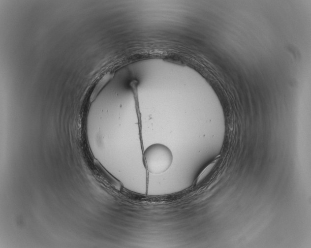 X0000111050552200907161407