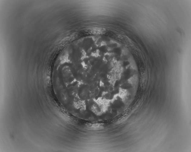 X0000111050553200907161407