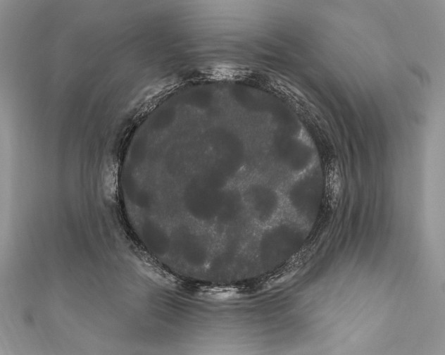 X0000111050554200907161407