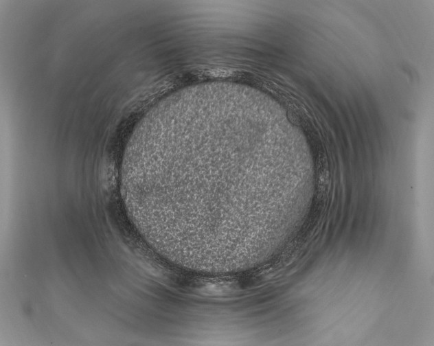 X0000111050555200907161407