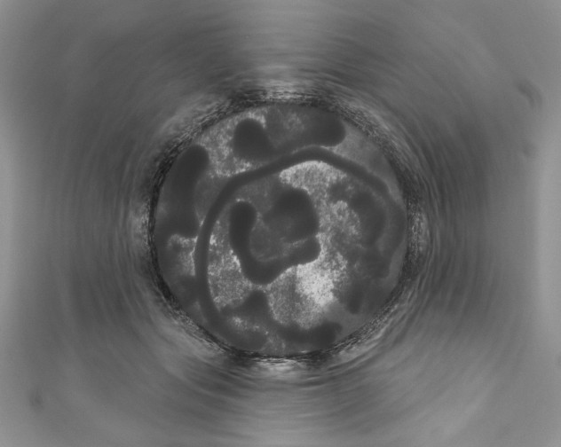 X0000111050557200907161407