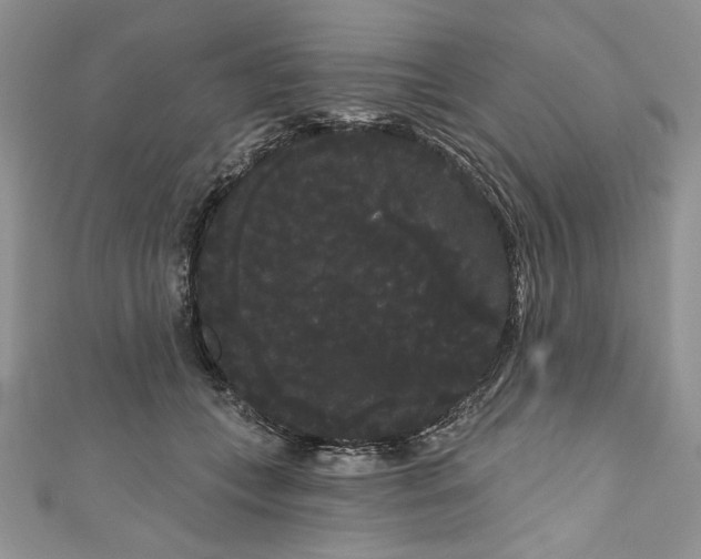 X0000111050559200907161407