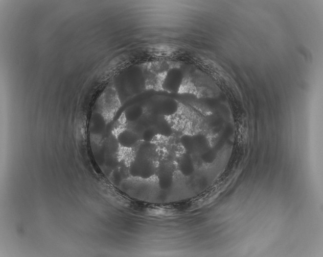 X0000111050561200907161407