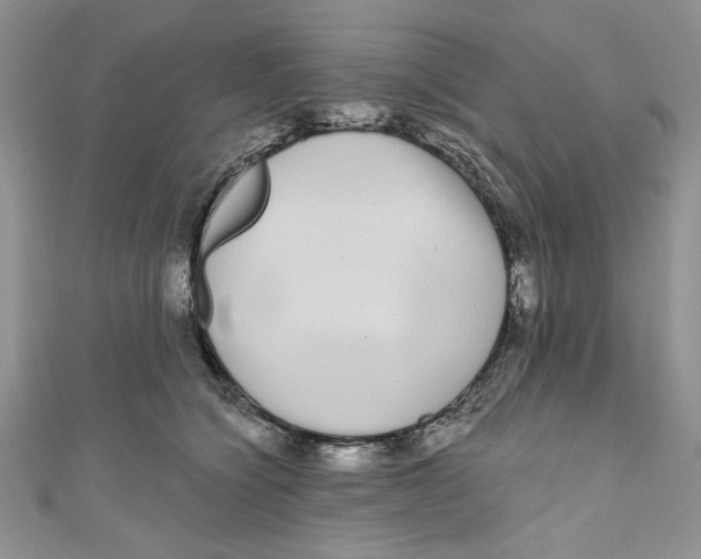 X0000111050564200907161407