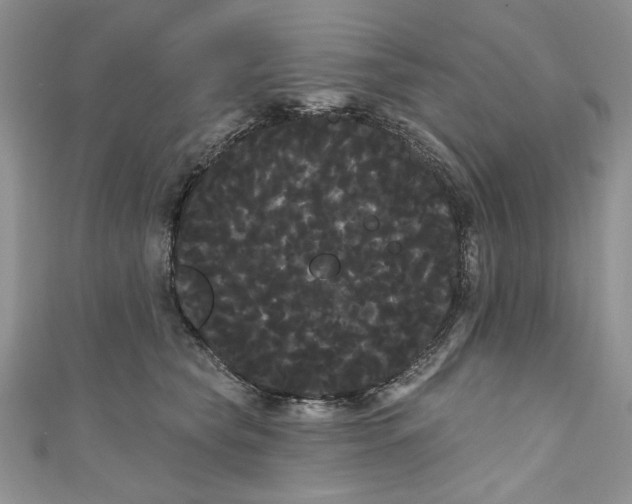 X0000111050565200907161407