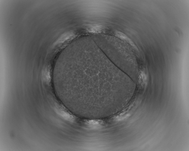 X0000111050566200907161407